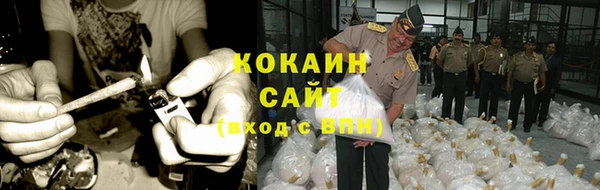 тгк Коряжма