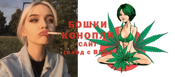 тгк Коряжма