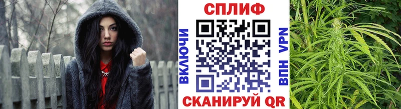 Купить Бологое Бошки марихуана White Widow